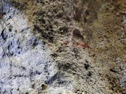 Jejak Warna Leluhur : Temuan Pigmen Gua Tenggar di Geopark Tulungagung