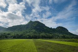 Gunung Api Purba Budeg: Kenalan Yuk Sama Fosil Vulkanik di Tengah Kota!