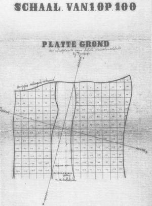 21. THE EVOLUTIONARY SIGNIFICANCE OF THE WAJAK SKULLS
