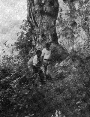 28. REDISCOVERY OF THE WADJAK SITE