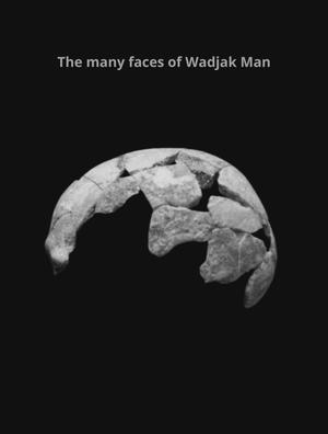 06. THE MANY FACES OF WADJAK MAN