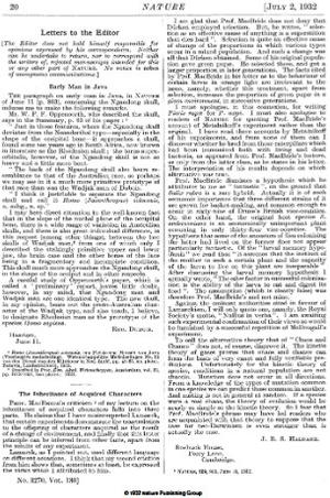 20. EARLY MAN IN JAVA