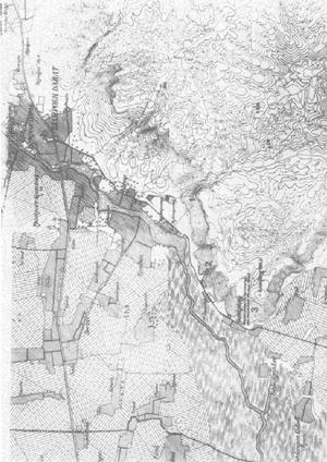 07. HOMO WADJAKENSIS