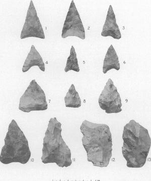 26. ERDBRINK - MESOLITHIC REMAINS SAMPUNG