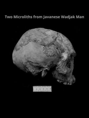 09. TWO MICROLITHS FROM JAVANESE WADJAK MAN