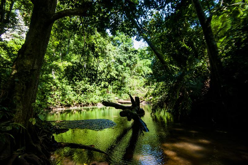 Telaga Buret: Danau Anti-Kering di Tulungagung, Bukti Rahasia Air Perbukitan!