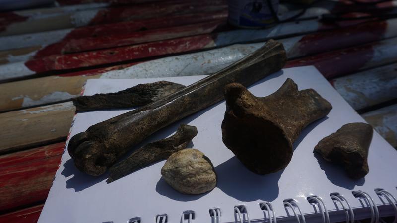 Gua Berfosil Tenggar: Healing ke Bawah Tanah, Nemu Fosil dan Sungai Purba!